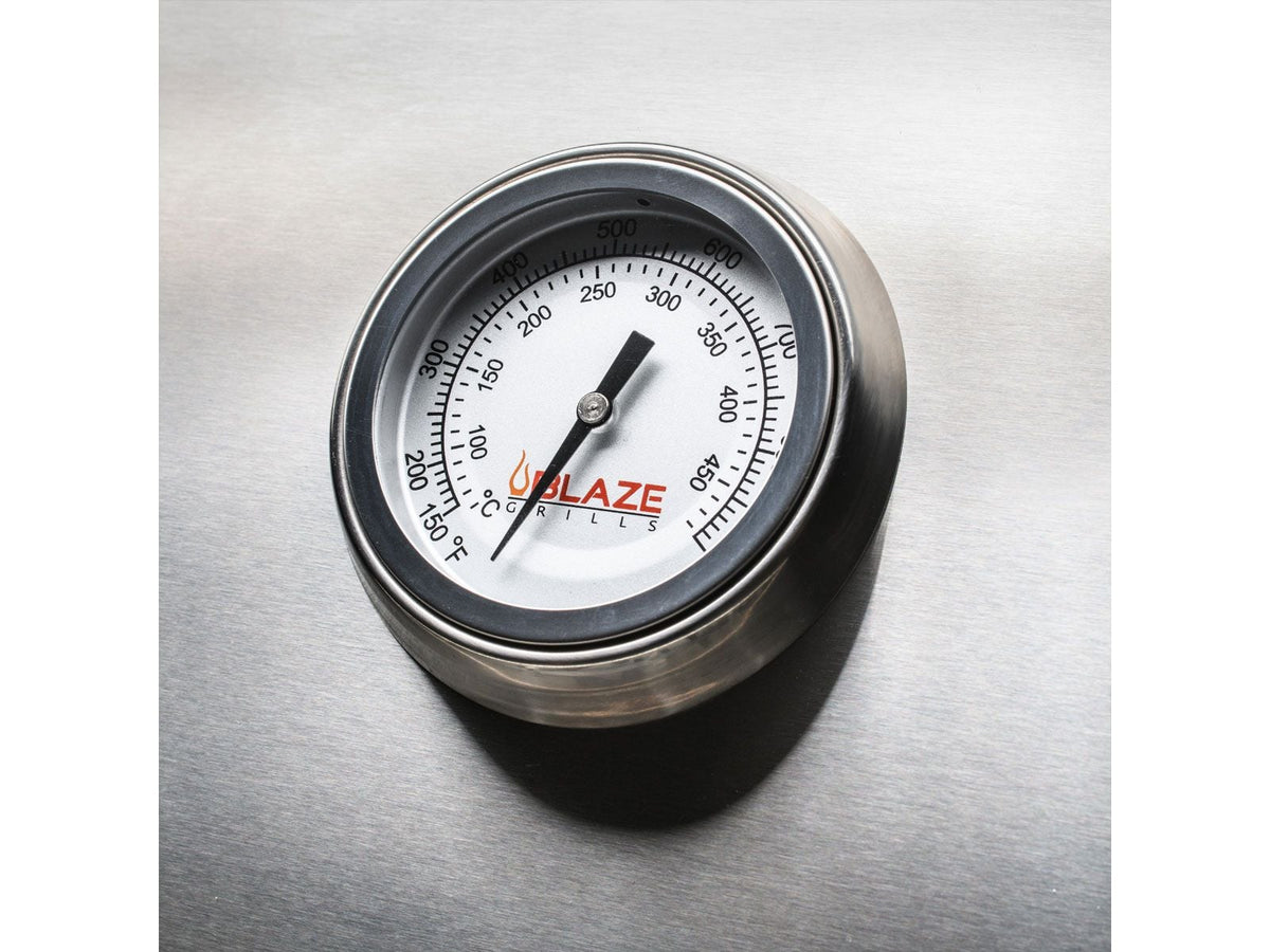Blaze LTE+ 32-Inch Built-In Gas Grill with Rear Infrared Burner